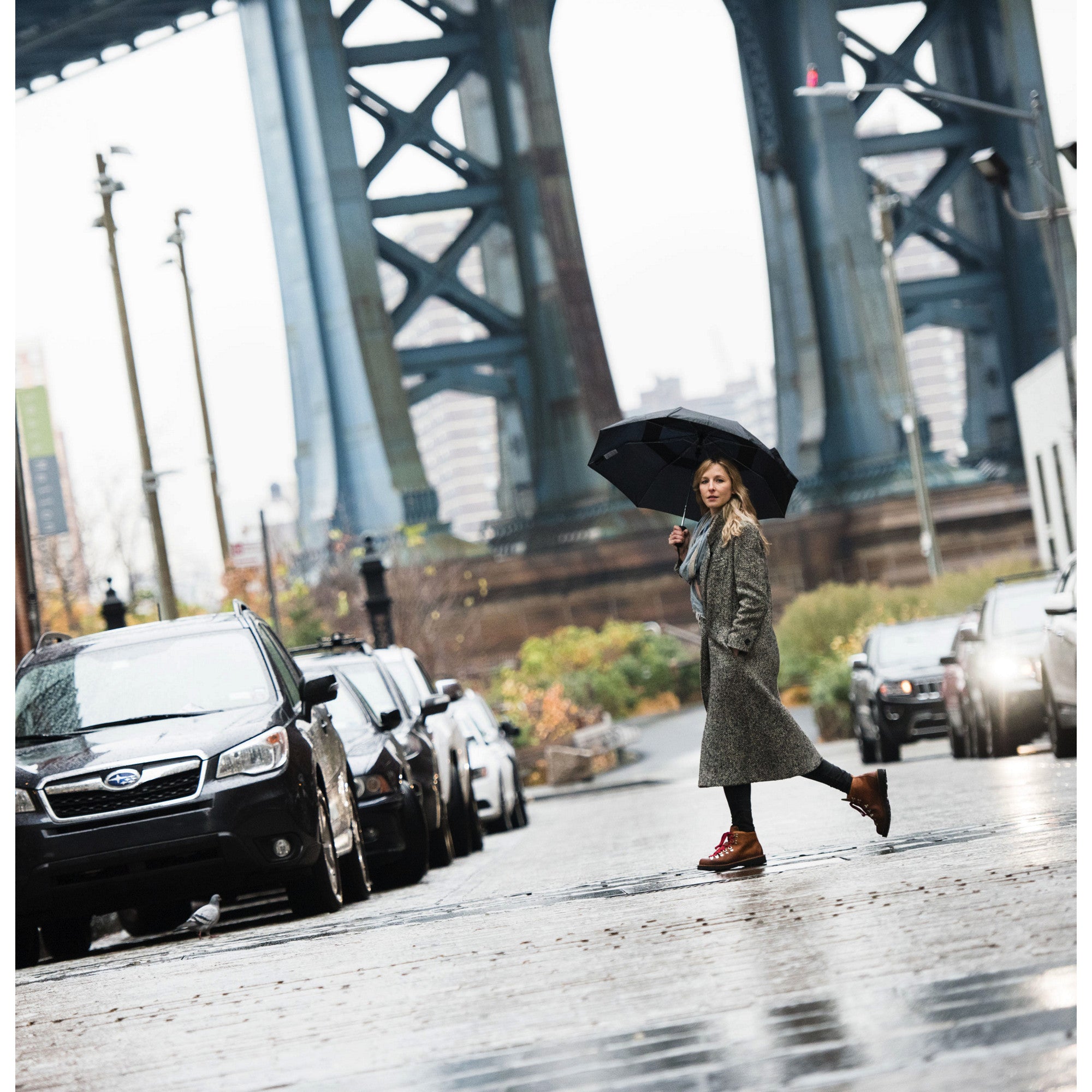 W's Mountain Light  Cascade